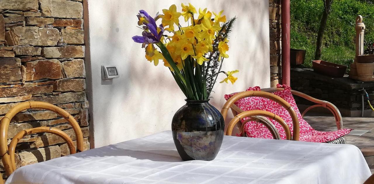 Agrifoglio B&B Con Giardino Aritzo Exterior photo