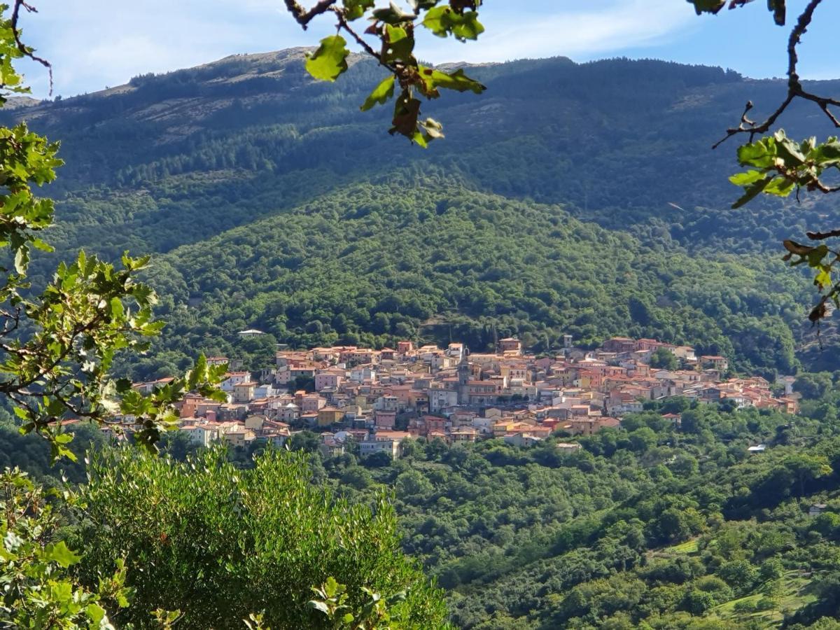 Agrifoglio B&B Con Giardino Aritzo Exterior photo