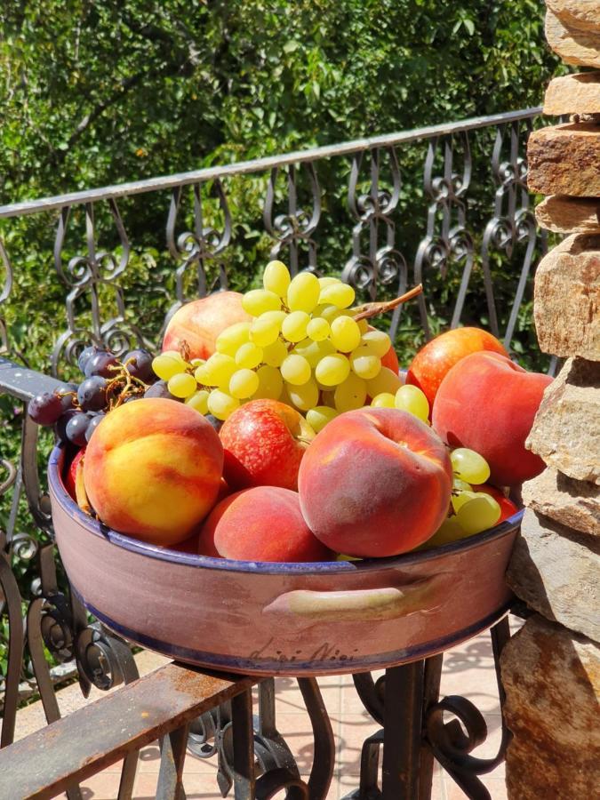 Agrifoglio B&B Con Giardino Aritzo Exterior photo